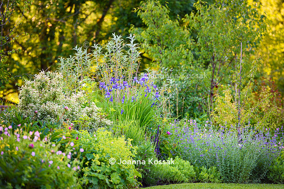 Old Vicarage, Designer Kate Smith, All Photos © Joanna Kossak