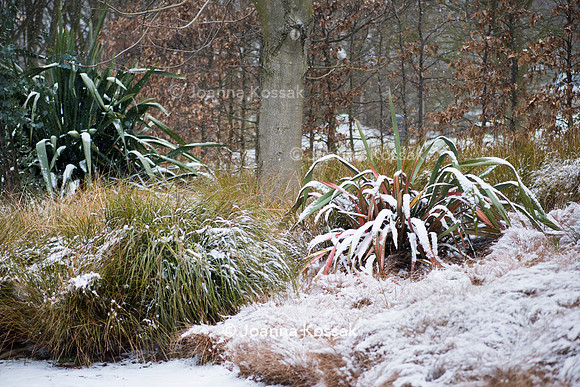 Hyde Hall Garden