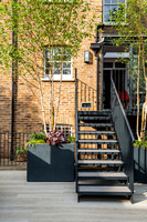 Camberwell garden in Summer