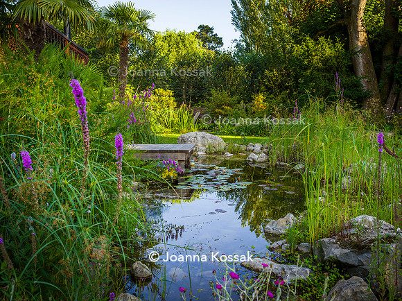 Old Scholl House garden, Designer Matthew Childs, All Photos © Joanna Kossak