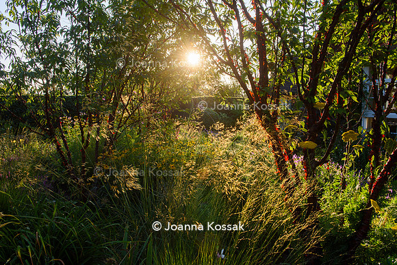 Old Scholl House garden, Designer Matthew Childs, All Photos © Joanna Kossak
