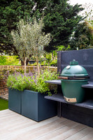 Camberwell garden in Summer