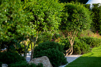 The Viking Friluftsliv Garden, Designed by Will Williams