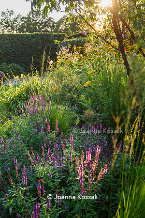 Old Scholl House garden, Designer Matthew Childs, All Photos © Joanna Kossak