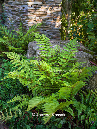 Old Scholl House garden, Designer Matthew Childs, All Photos © Joanna Kossak