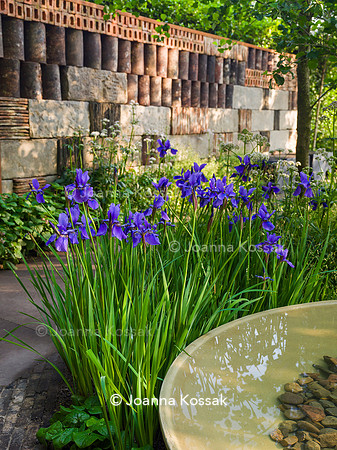 Designer Ula Maria, Muscular Dystrophy UK – Forest Bathing Garden