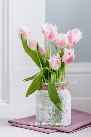 Tulipa 'Bell Song' (Fringed Tulip) in glass vase