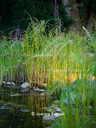 Old Scholl House garden, Designer Matthew Childs, All Photos © Joanna Kossak