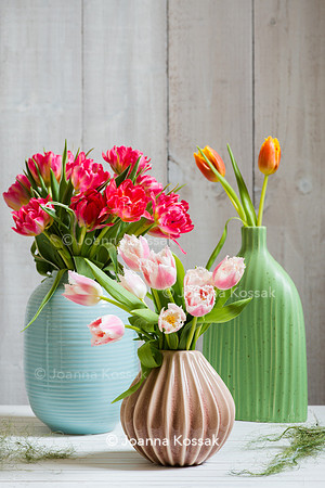 Tulipa 'Bell Song' (Fringed Tulip), Tulipa 'Davenport' (Fringed Tulip) and Double Early Tulip 'Flash Point' in ceramic vases