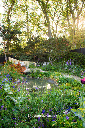 Stroke Association’s Garden for Recovery, Designer Miria Harris