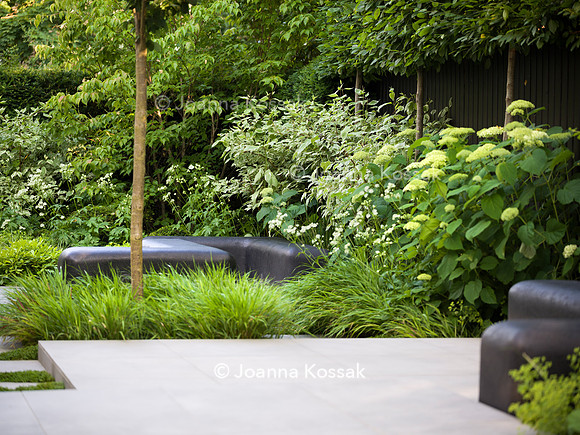 Edge Hill garden. Designer Tom Howard. All Photos © Joanna Kossak