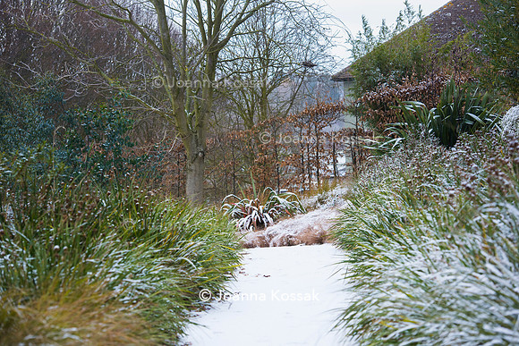 Hyde Hall Garden