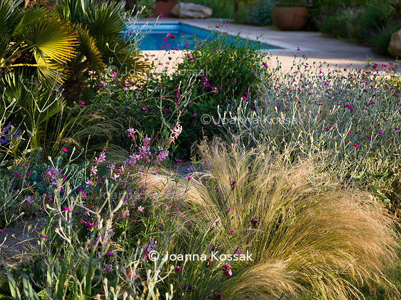 Old Scholl House garden, Designer Matthew Childs, All Photos © Joanna Kossak