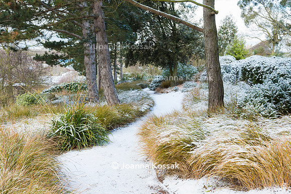 Hyde Hall Garden