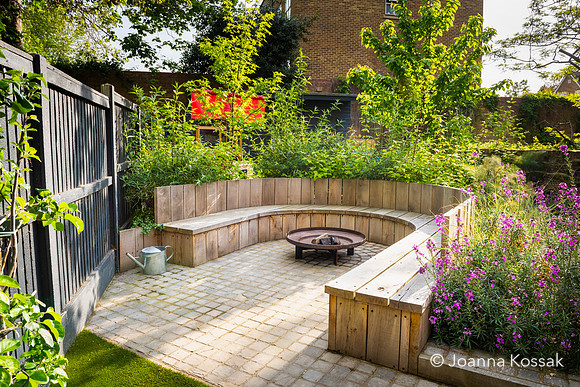 Camberwell garden in Summer