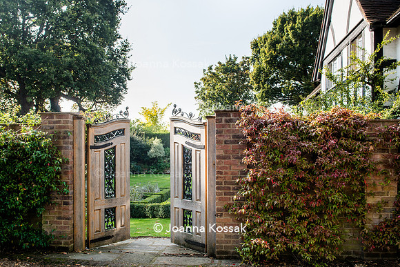 Open wooden gate leading to the garden; Trachelospermum jasminoides covering the wall