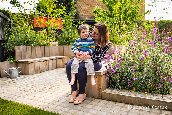 Camberwell garden in Summer