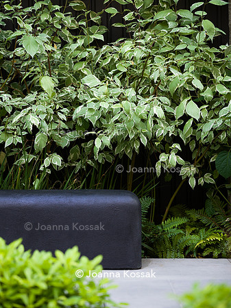 Edge Hill garden. Designer Tom Howard. All Photos © Joanna Kossak