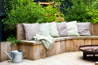 Camberwell garden in Summer