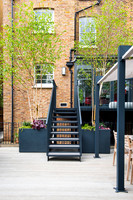 Camberwell garden in Summer