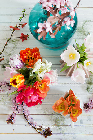 Spring flowers arrangement including Chaenomeles (Japanese quince), Prunus and tulips :double, single; parrot and fringed.