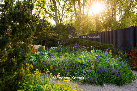 Stroke Association’s Garden for Recovery, Designer Miria Harris