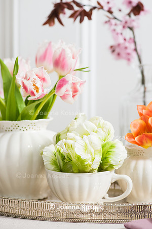Tulips 'Super Parrot' and 'Bell Song' (Fringed Tulip) in porcelain tableware (cup and teapot) on the silver tray.