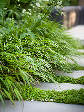 Edge Hill garden. Designer Tom Howard. All Photos © Joanna Kossak