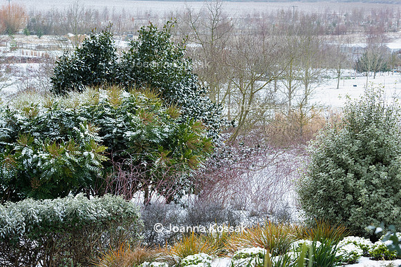 Hyde Hall Garden