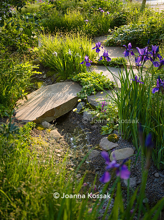 Designer Ula Maria, Muscular Dystrophy UK – Forest Bathing Garden