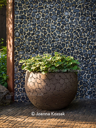 Designer Ula Maria, Muscular Dystrophy UK – Forest Bathing Garden