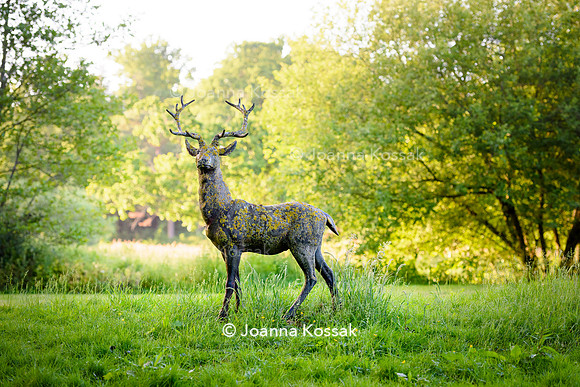 Old Vicarage, Designer Kate Smith, All Photos © Joanna Kossak