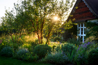 Old Scholl House garden, Designer Matthew Childs, All Photos © Joanna Kossak