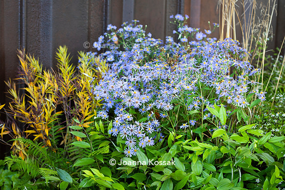 The M&G Garden, Desiners: Charlotte Harris and Hugo Bugg