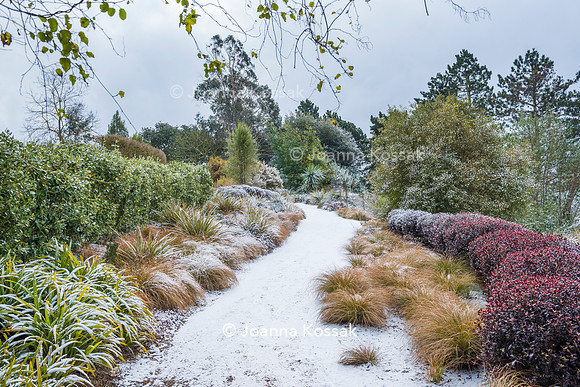 Hyde Hall Garden