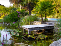 Old Scholl House garden, Designer Matthew Childs, All Photos © Joanna Kossak