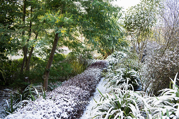 Hyde Hall Garden