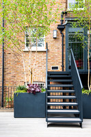 Camberwell garden in Summer