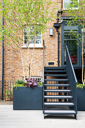 Camberwell garden in Summer