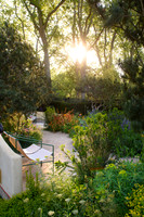 Stroke Association’s Garden for Recovery, Designer Miria Harris