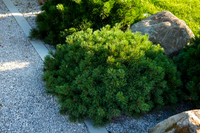 The Viking Friluftsliv Garden, Designed by Will Williams
