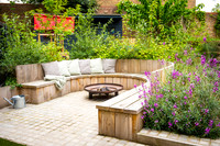Camberwell garden in Summer