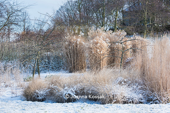 Hyde Hall Garden