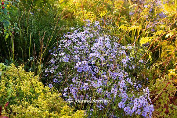 The M&G Garden, Desiners: Charlotte Harris and Hugo Bugg