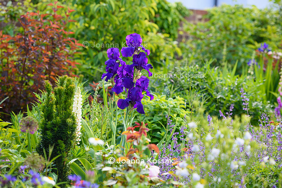 Old Vicarage, Designer Kate Smith, All Photos © Joanna Kossak