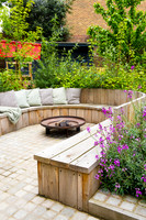 Camberwell garden in Summer
