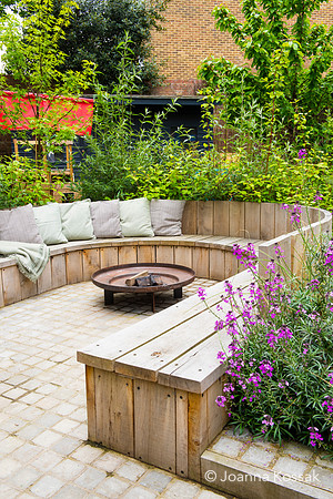 Camberwell garden in Summer