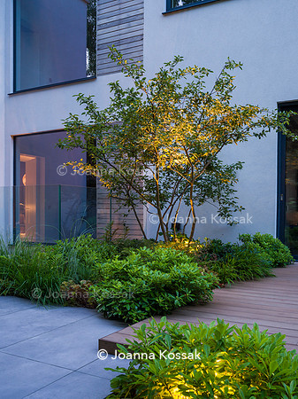 Edge Hill garden. Designer Tom Howard. All Photos © Joanna Kossak