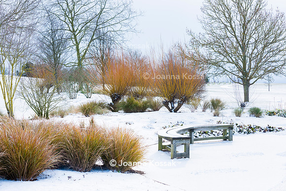 Hyde Hall Garden