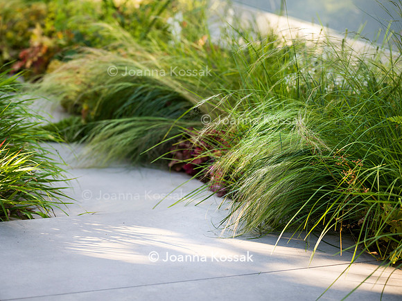 Edge Hill garden. Designer Tom Howard. All Photos © Joanna Kossak